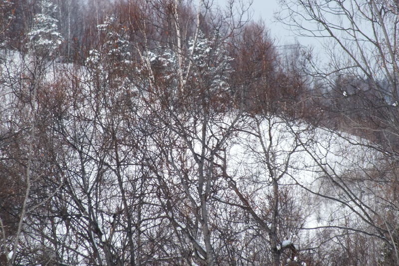 DSCF4009